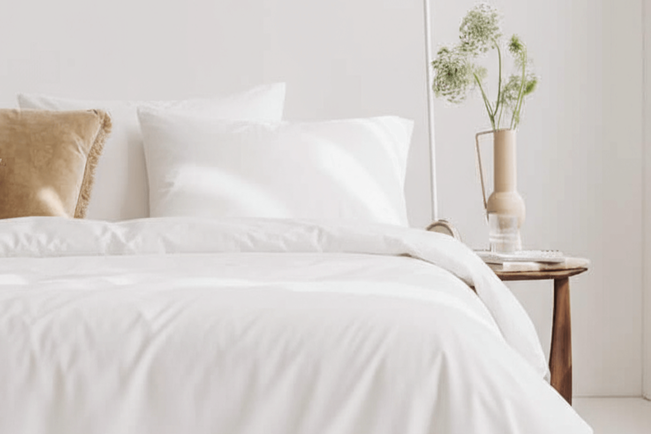 Matt sleeps white percale bedsheet